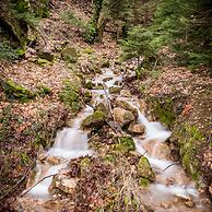 Country Club Hotel & Suites