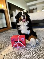 The Maven Hotel at Dairy Block