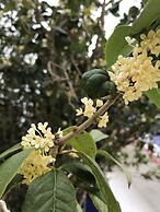 Shin Sane Guesthouse