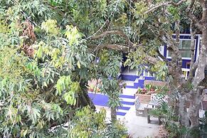 Shin Sane Guesthouse