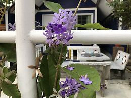 Shin Sane Guesthouse