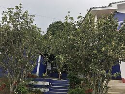 Shin Sane Guesthouse