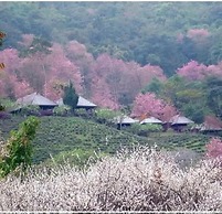 Shin Sane Guesthouse