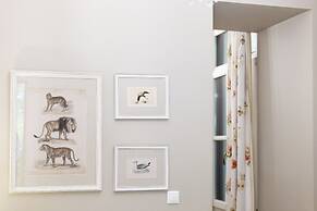 Gatto Perso Luxury Apartments