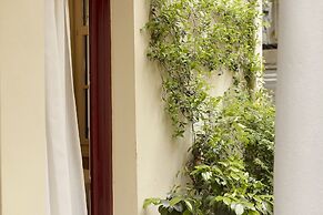 Gatto Perso Luxury Apartments