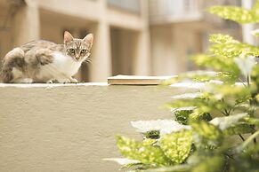 Gatto Perso Luxury Apartments