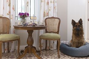 Gatto Perso Luxury Apartments