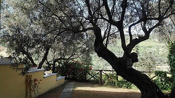 Tenuta Castellesi