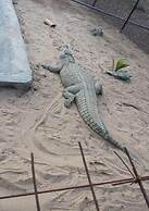 El´molo Crocodile Park and Lodge