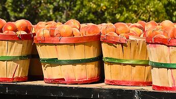 Holiday Inn Express & Suites Brigham City - North Utah by IHG