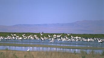 Holiday Inn Express & Suites Brigham City - North Utah by IHG