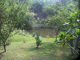 Pousada Recanto Dos Ipês