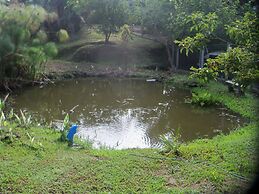 Pousada Recanto Dos Ipês