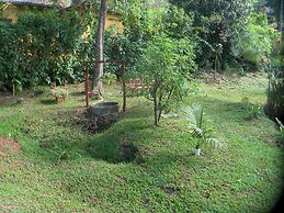 Pousada Recanto Dos Ipês