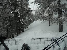 Lakeside Resort and Motel