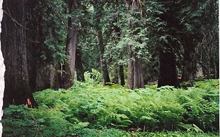 Lakeside Resort and Motel