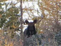 Lakeside Resort and Motel