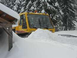 Lakeside Resort and Motel