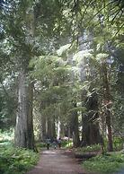 Lakeside Resort and Motel