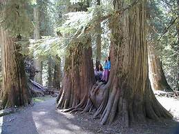 Lakeside Resort and Motel