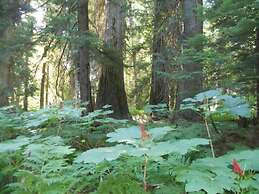 Lakeside Resort and Motel