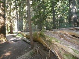 Lakeside Resort and Motel