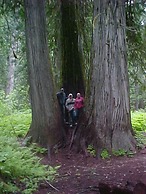 Lakeside Resort and Motel