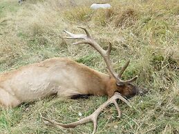 Lakeside Resort and Motel