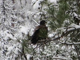 Lakeside Resort and Motel