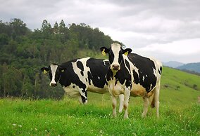 The Ridge - Gloucester