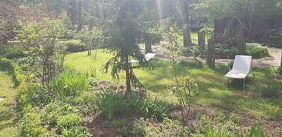 Le jardin de Saint Jean