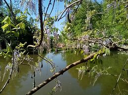 Le jardin de Saint Jean