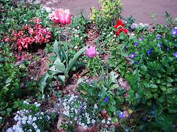 Le jardin de Saint Jean