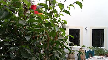 El Patio Courtyard House