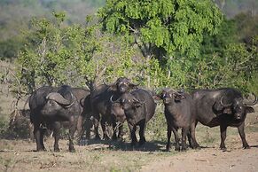 Buffelshoek Tented Camp