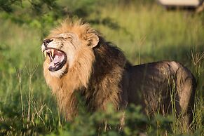 Buffelshoek Tented Camp