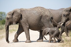 Buffelshoek Tented Camp