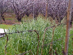 The Vineyard Country House