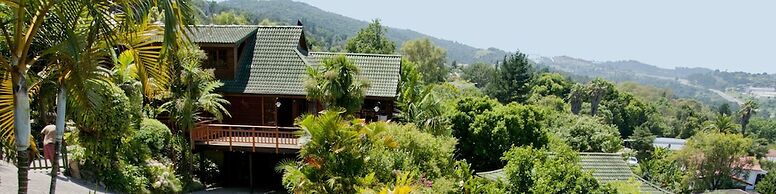 Big Tree House Lodge