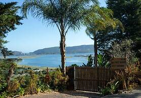 Big Tree House Lodge