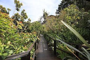 Big Tree House Lodge