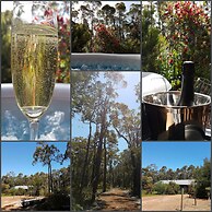 Jarrah Grove Forest Retreat - Adults Only