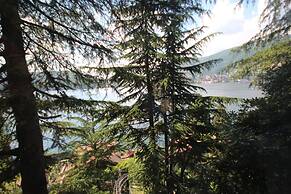 Imperiale Apartments