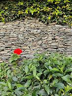 Cedar Lodge by Aahma