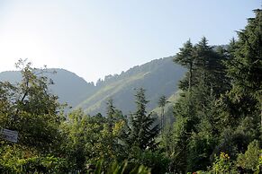 Cedar Lodge by Aahma