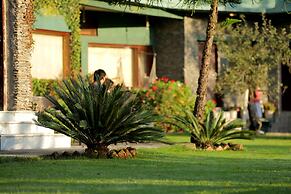 Cedar Lodge by Aahma