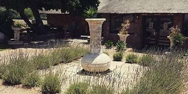 Buffelsvley Guest Farm and Klipskuur Wedding Venue