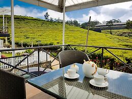 The Tea Garden