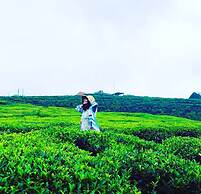 The Tea Garden