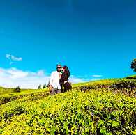 The Tea Garden